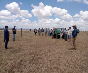 Training & Capacity Building